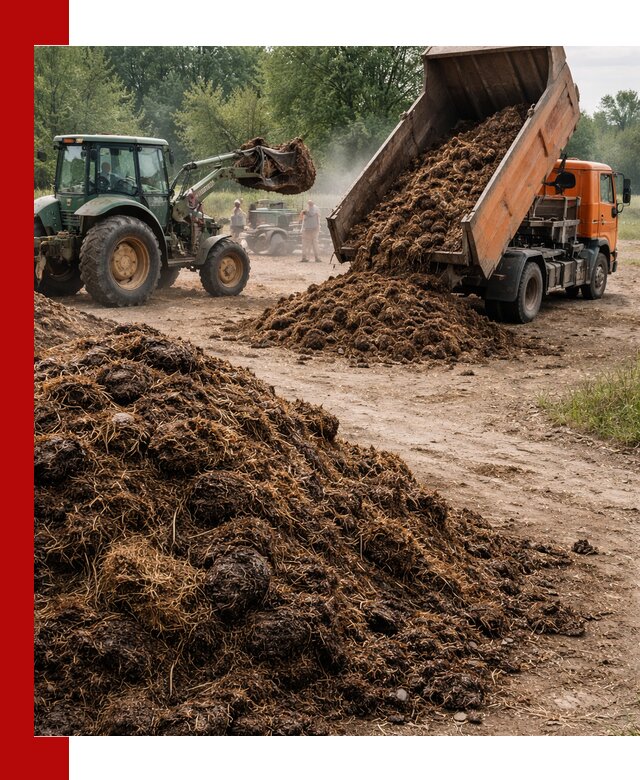 Доставка навоза самосвалами в Курске для сельхозпотребностей